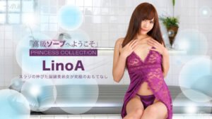 高級ソープへようこそ LinoA str-171